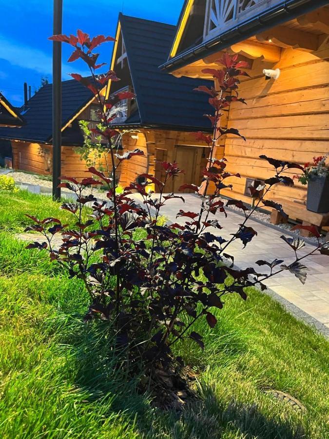 Chalet Osada Chlabowka &